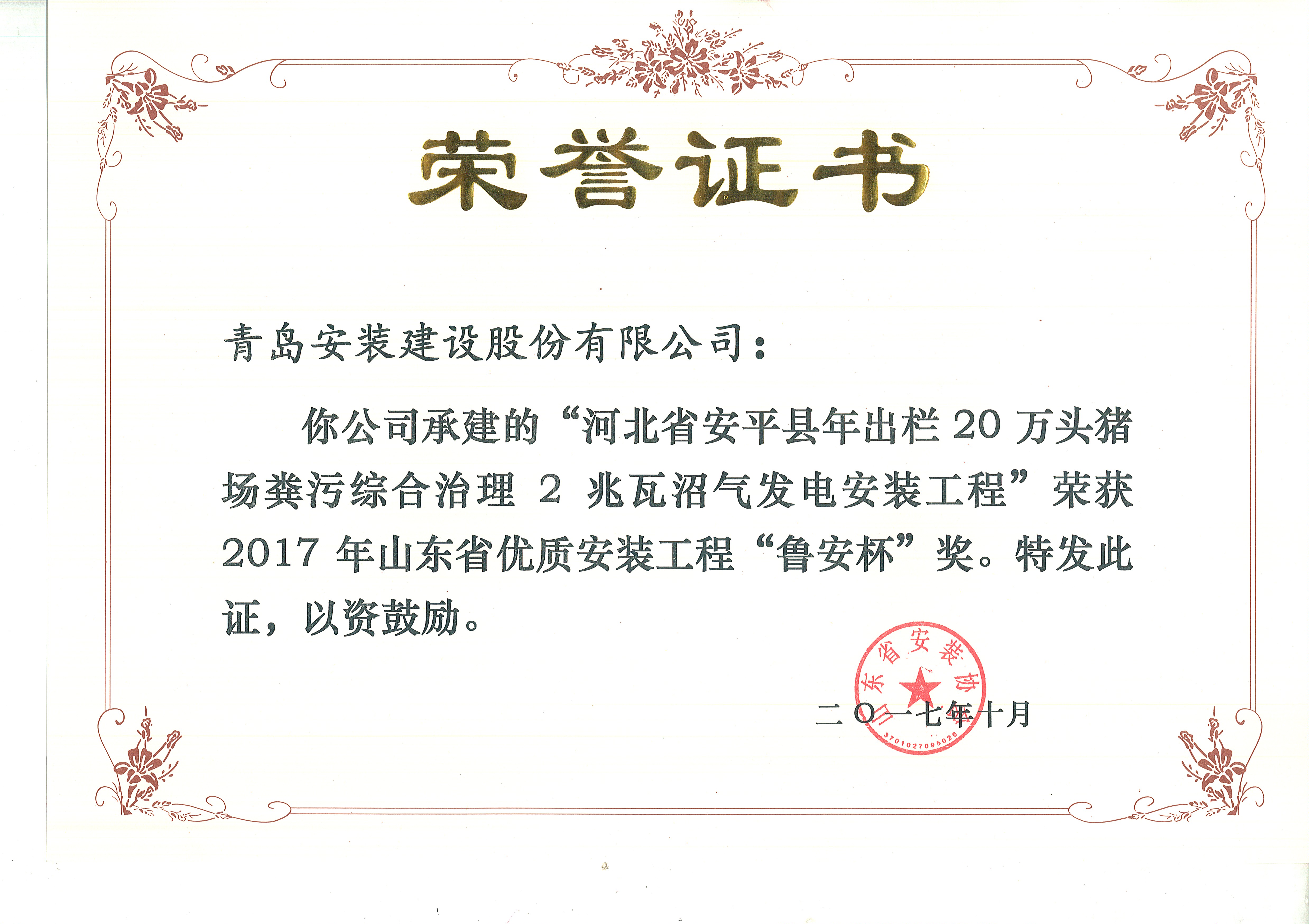 73、17魯安杯-河北安平2兆瓦沼氣發(fā)電.jpg